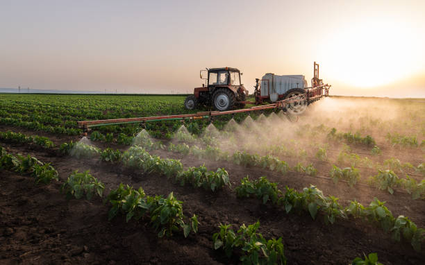 Best Commercial Pest Control Services  in Elkhart Lake, WI