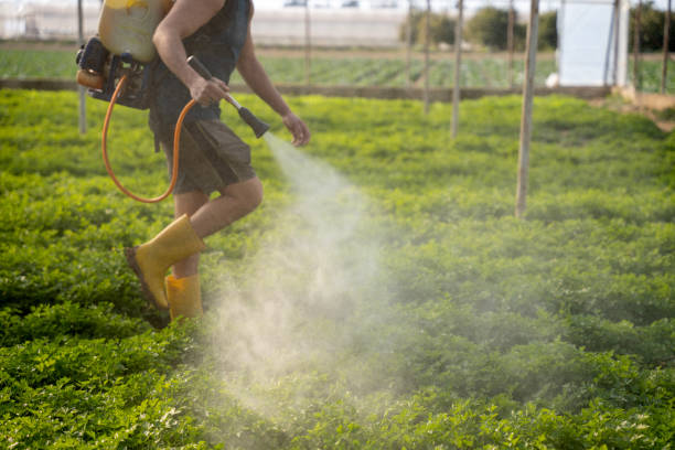 Best Ant Control Services  in Elkhart Lake, WI