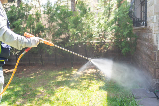 Best Local Pest Control Services  in Elkhart Lake, WI